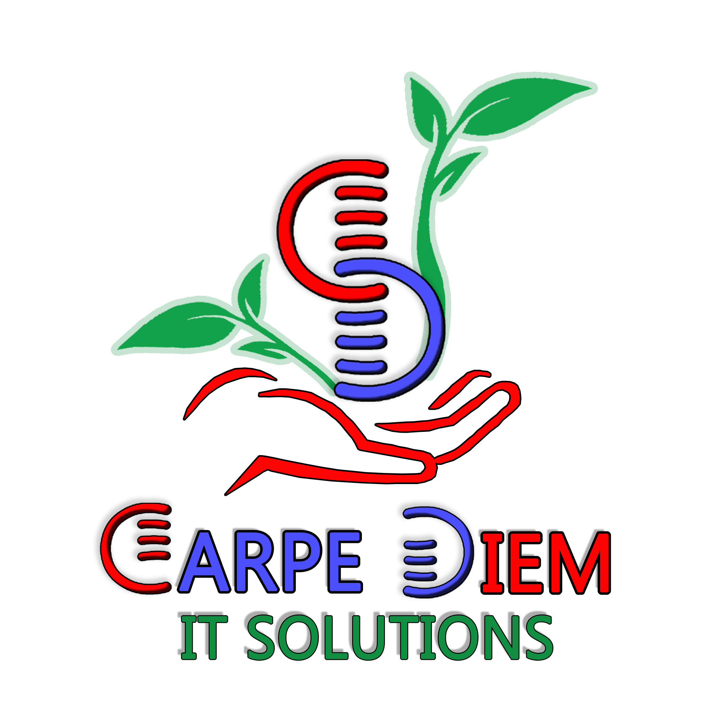Carpe Diem IT Solutions